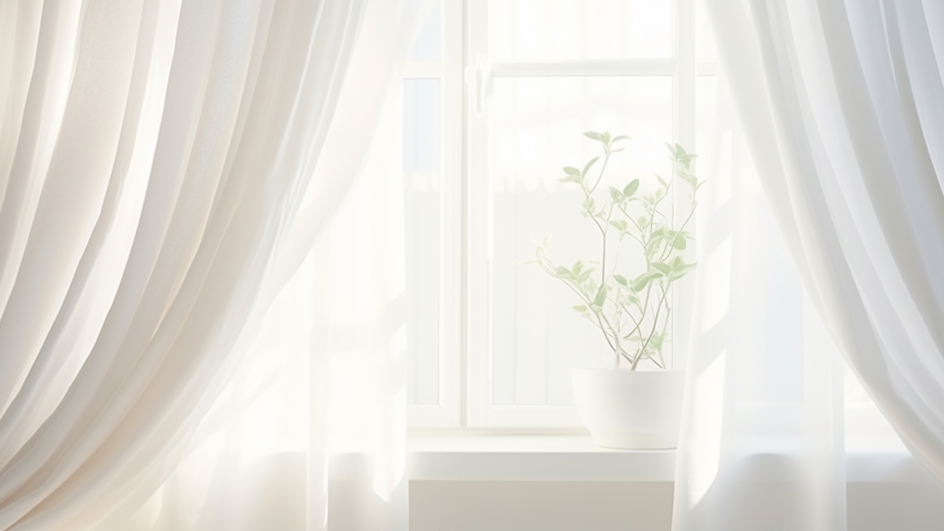 プランイメージ